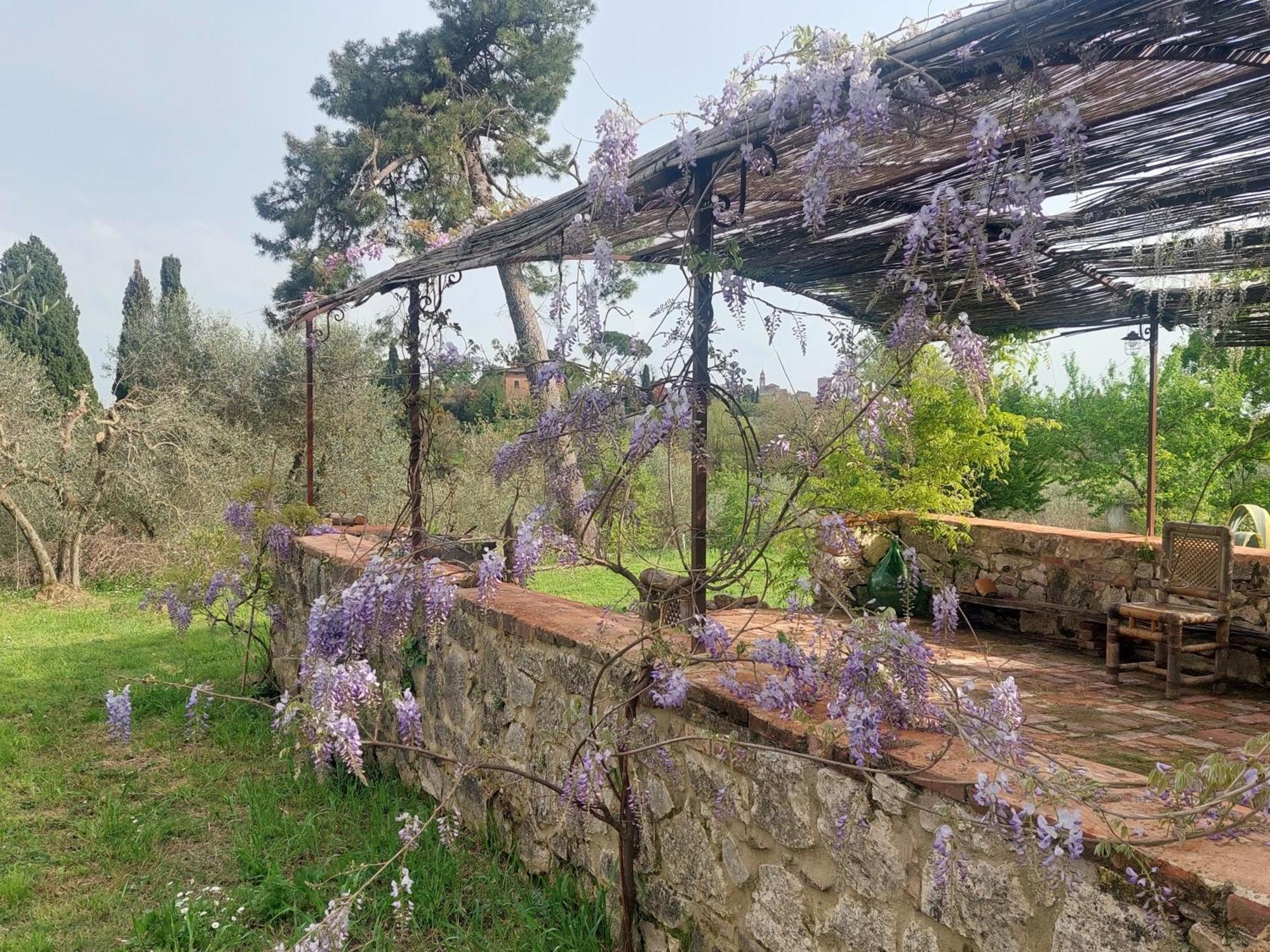 Casa Ezio Marchi - Due Appartamenti E Una Family Suite Bettolle Exterior photo