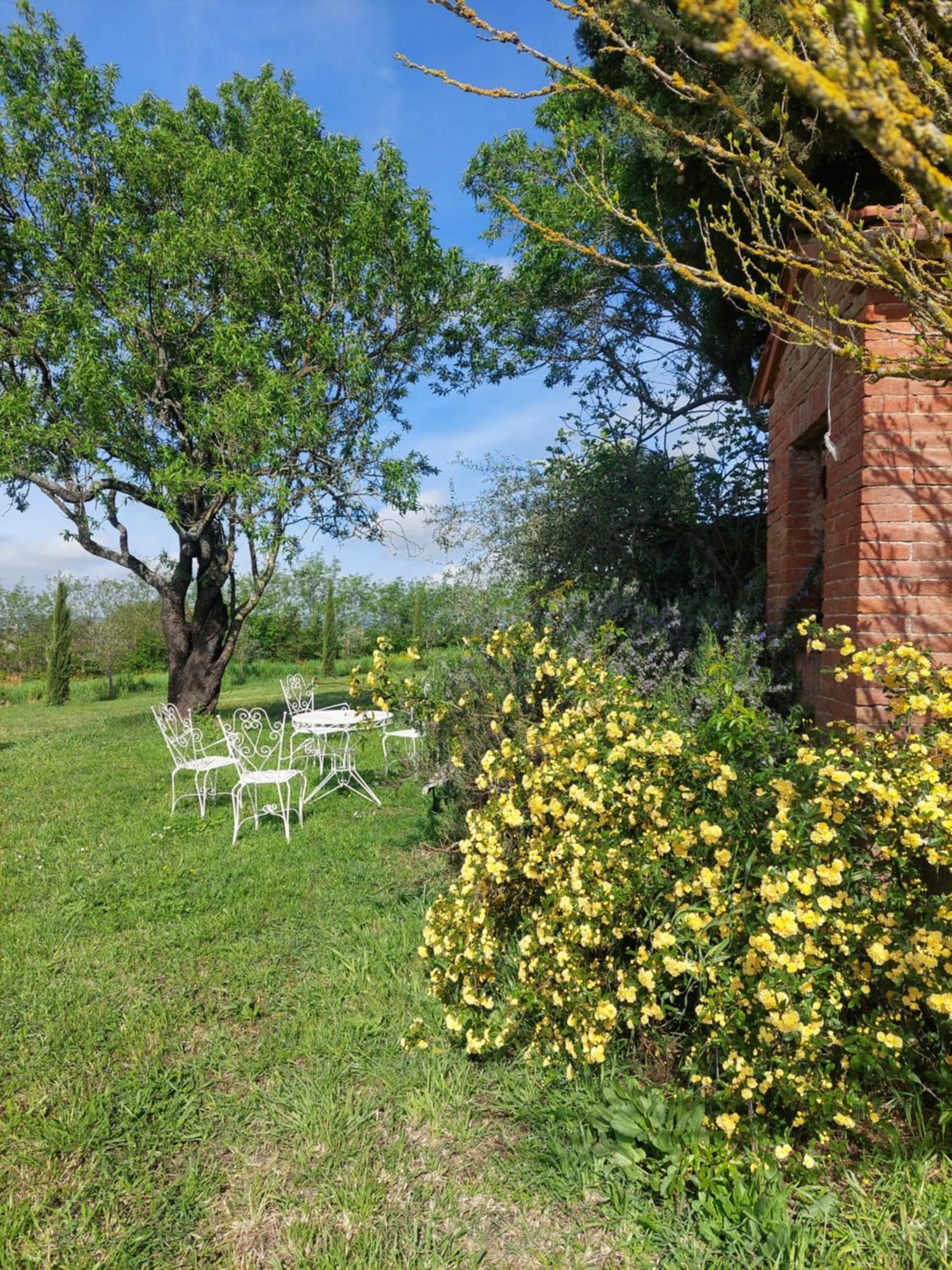 Casa Ezio Marchi - Due Appartamenti E Una Family Suite Bettolle Exterior photo
