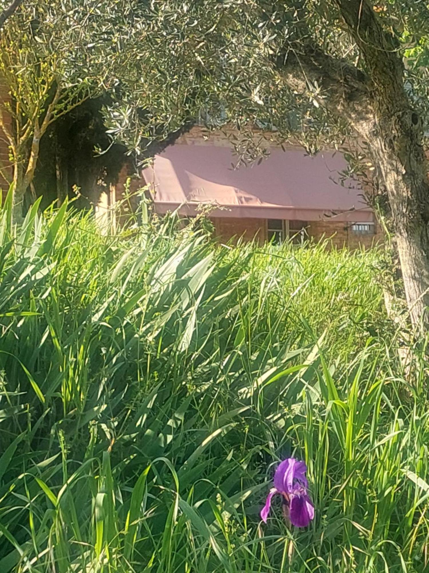 Casa Ezio Marchi - Due Appartamenti E Una Family Suite Bettolle Exterior photo